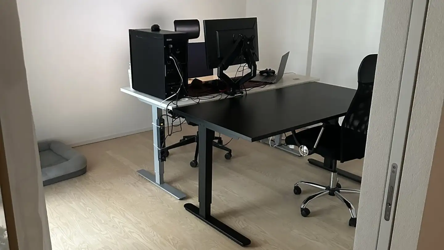 Appartamento in affitto - Else-Züblin-Strasse 78, 8404 Winterthur - Foto 3