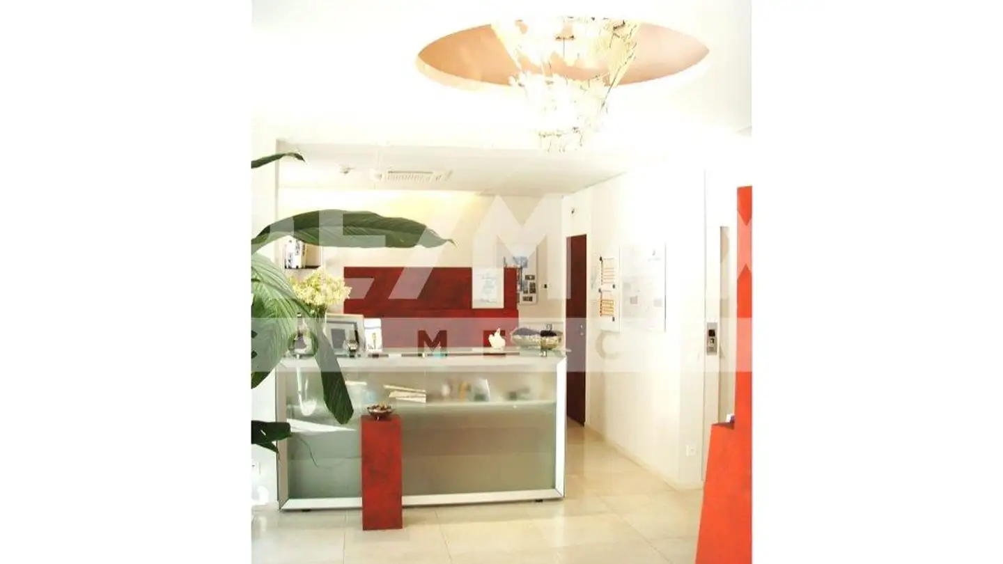 Commercial for sale - 6850 Mendrisio - Photo 3