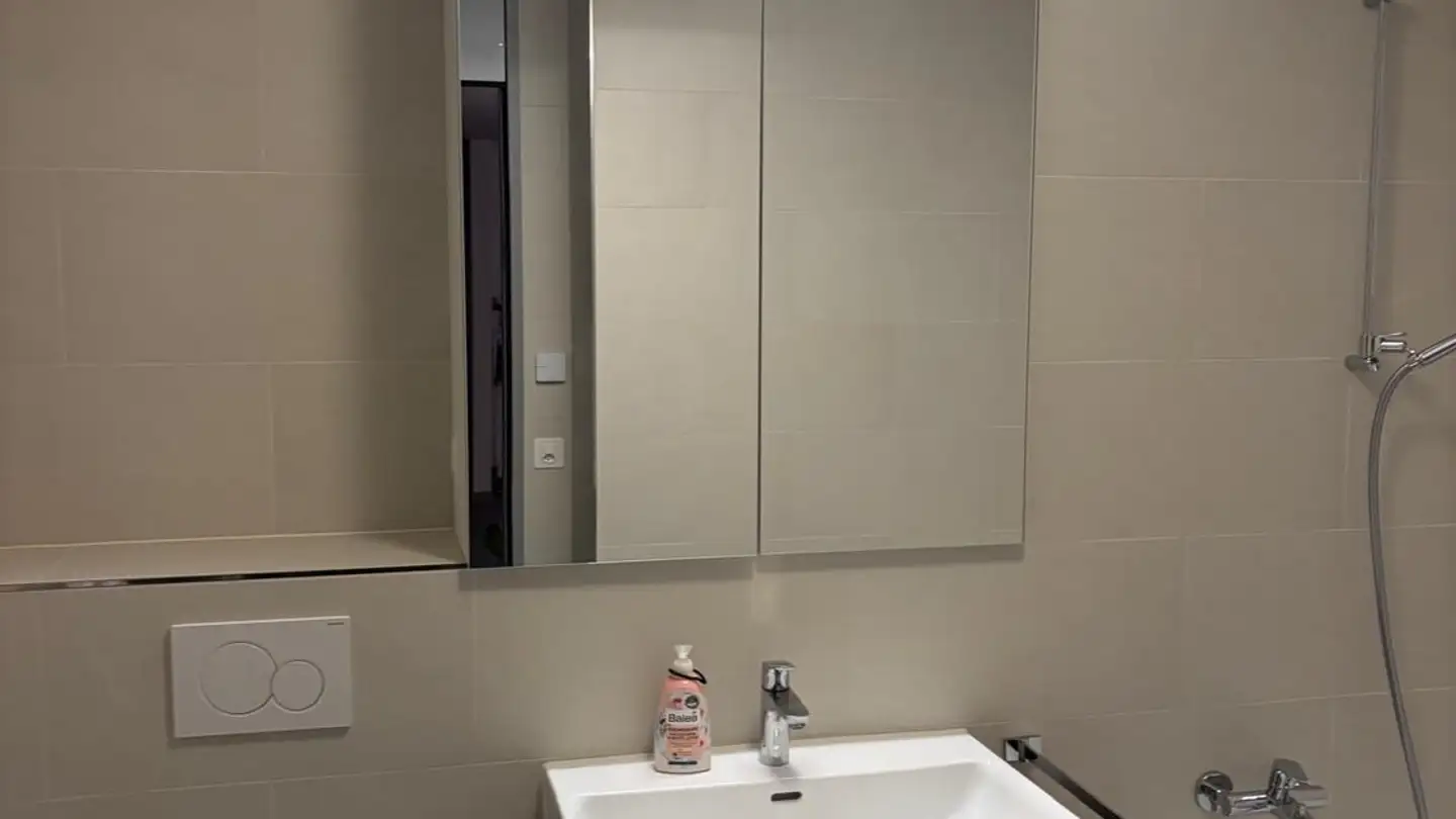 Apartment for rent - Dörflistrasse 4, 5706 Boniswil - Photo 3