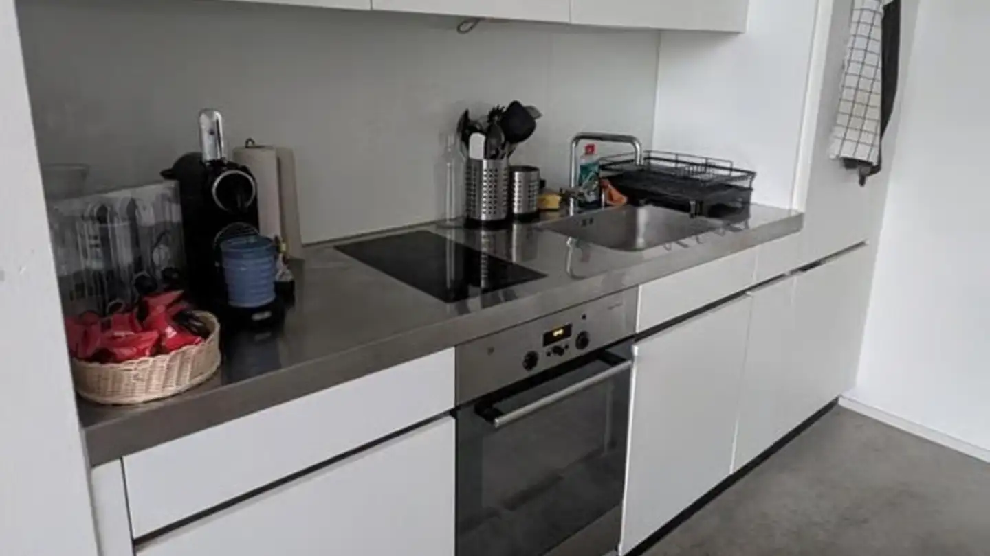 Appartamento ammobiliato in affitto - Brandstrasse 33, 8952 Schlieren - Foto 2