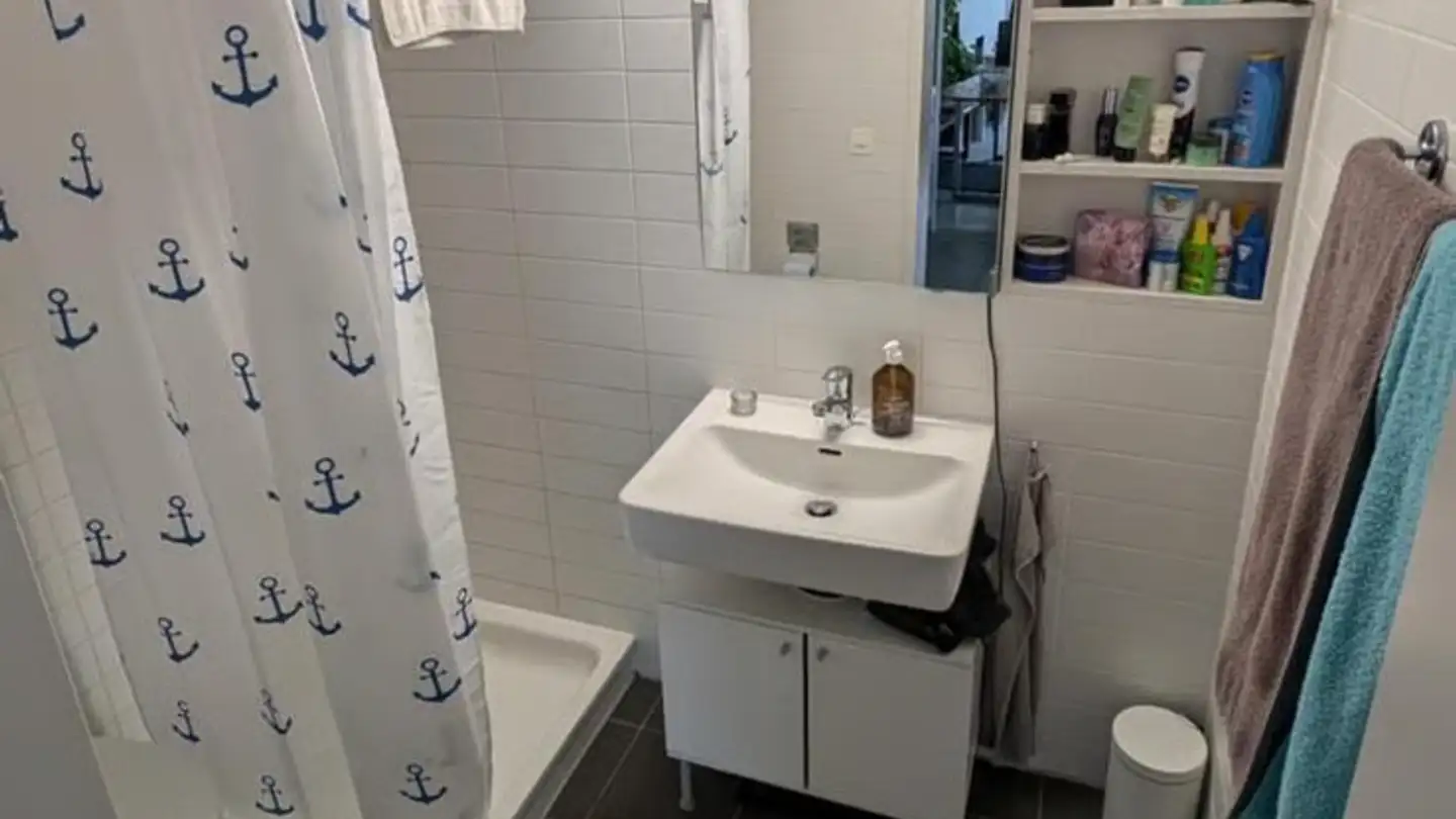 Appartamento ammobiliato in affitto - Brandstrasse 33, 8952 Schlieren - Foto 3