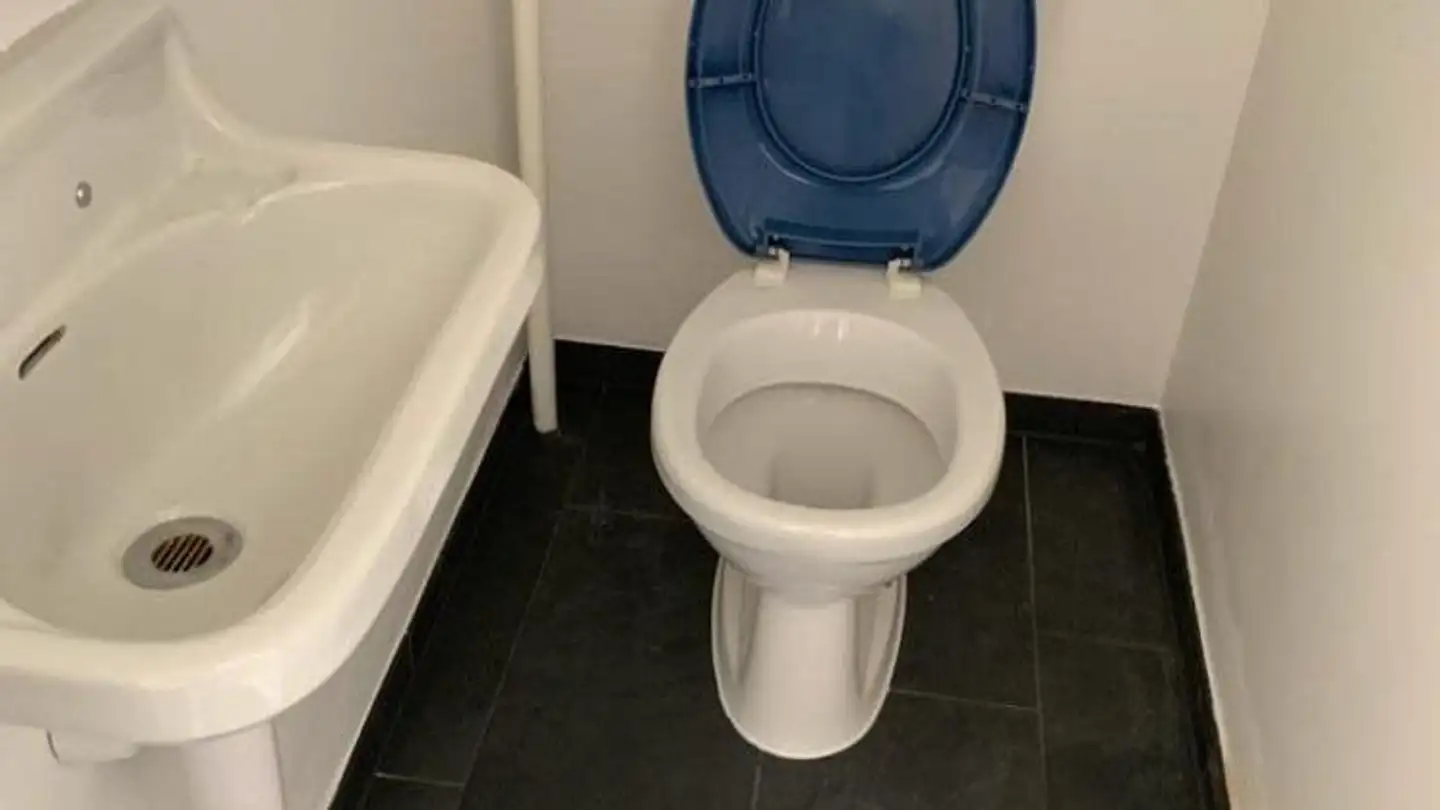 Appartement en terrasse à louer - Immengasse 3, 4056 Basel - Photo 3