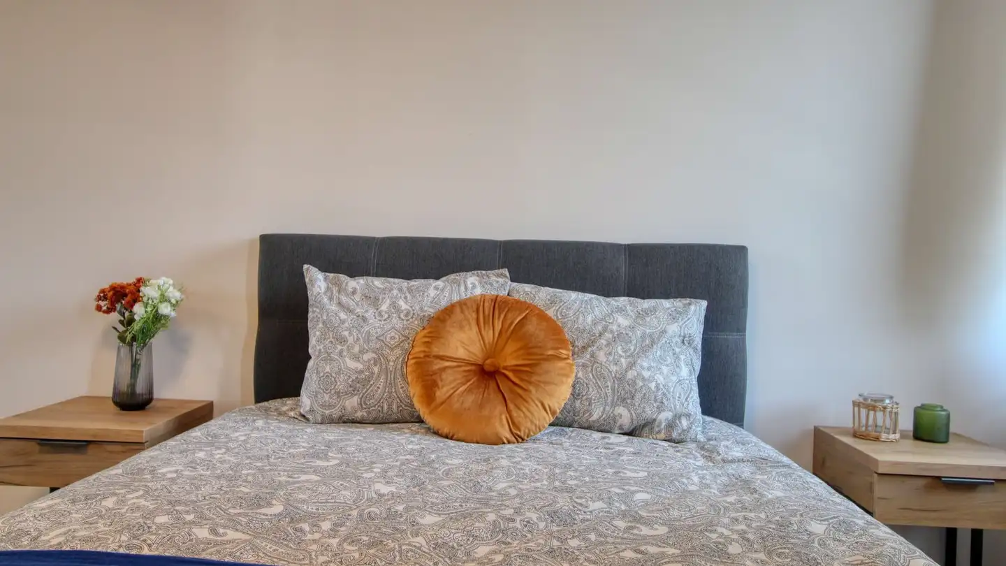 Studio for rent - 8952 Schlieren - Photo 3