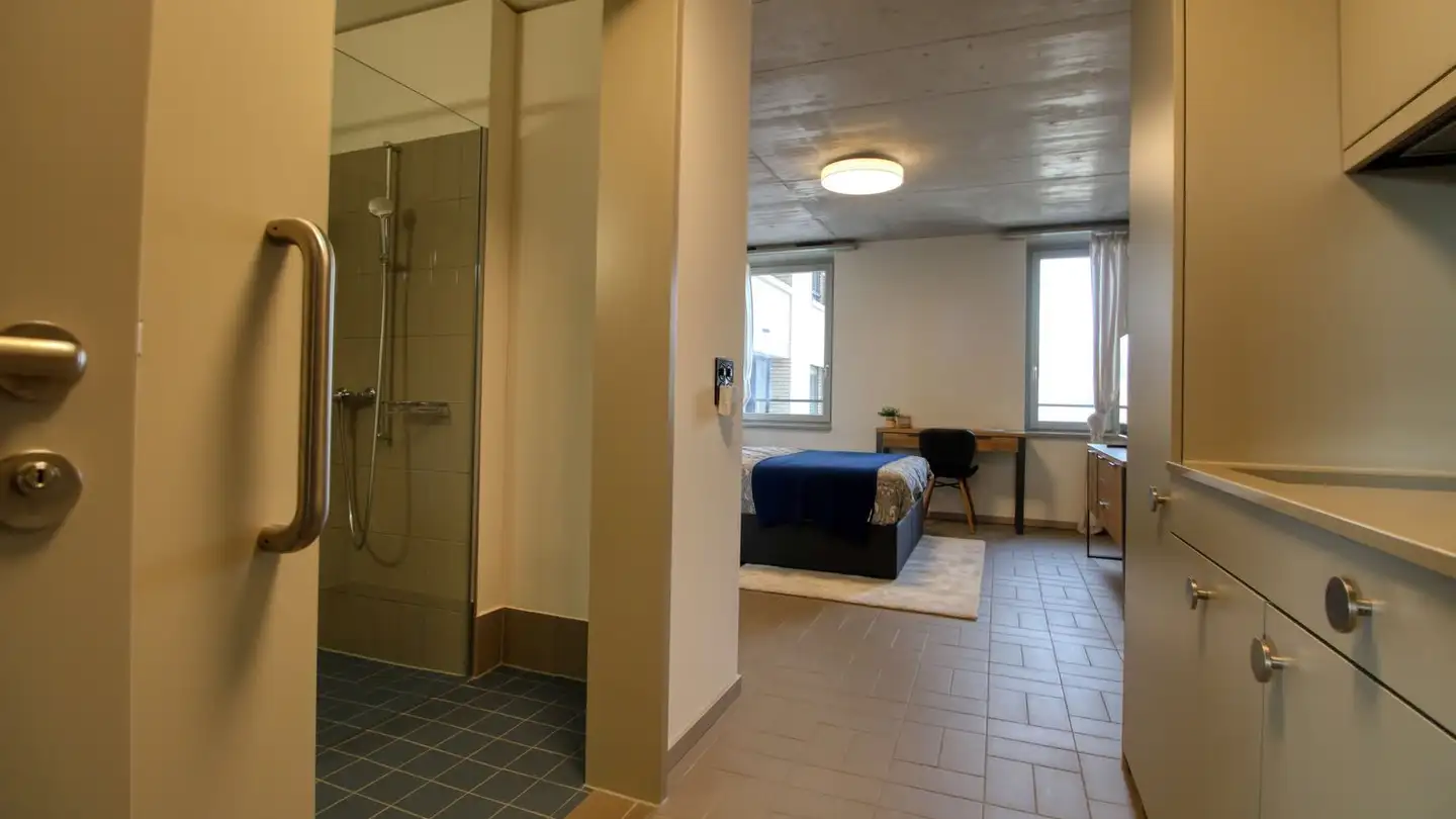 Studio for rent - 8952 Schlieren - Photo 4
