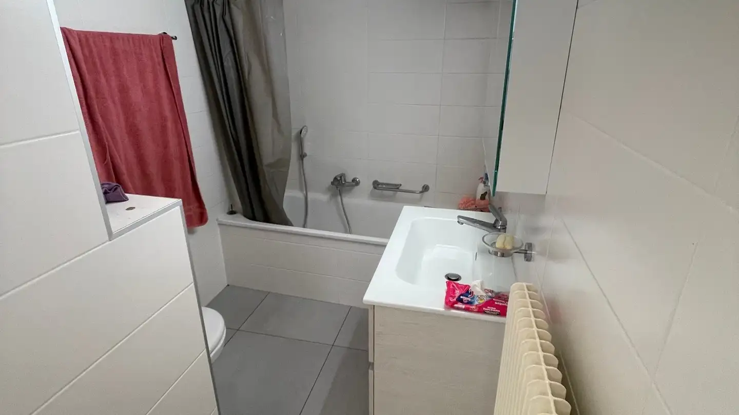 Single house for rent - Route De Bogis-Bossey, 1279 Chavannes-de-Bogis - Photo 3