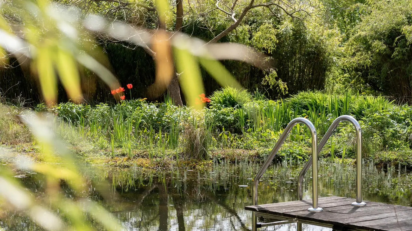 Villa in vendita - 1580 Avenches - Foto 4