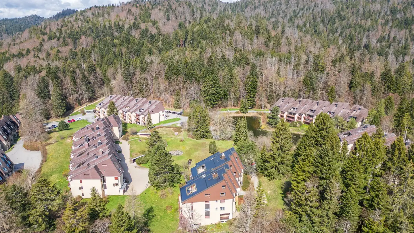 Penthouse kaufen - Route Des Cheseaux-Dessus, 1264 St-Cergue - Foto 4
