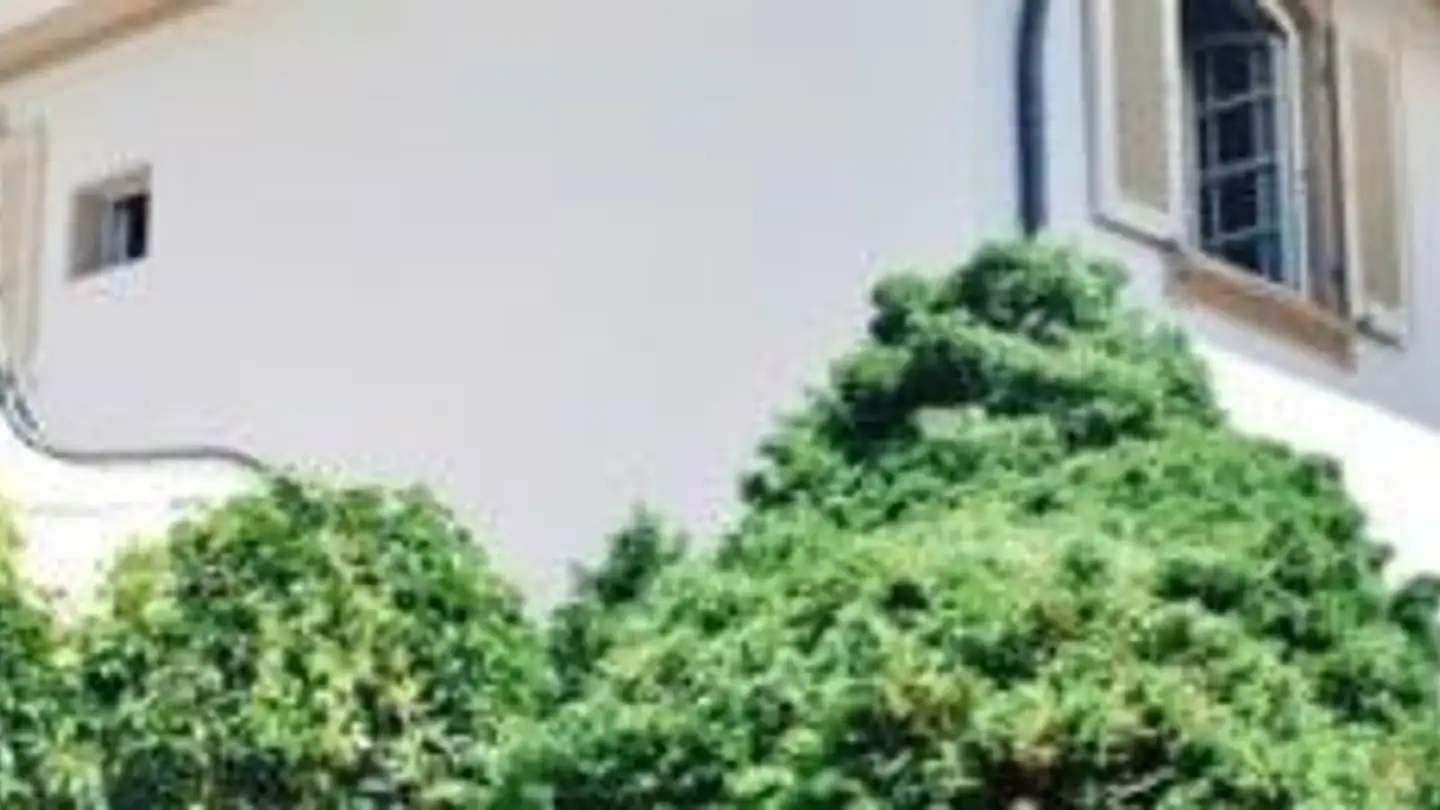 Appartamento in affitto - Reutigenweg 3, 3074 Muri b. Bern - Foto 2