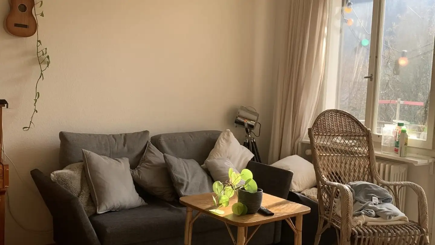 Chambre à louer - Burgstrasse 124, 8408 Winterthur