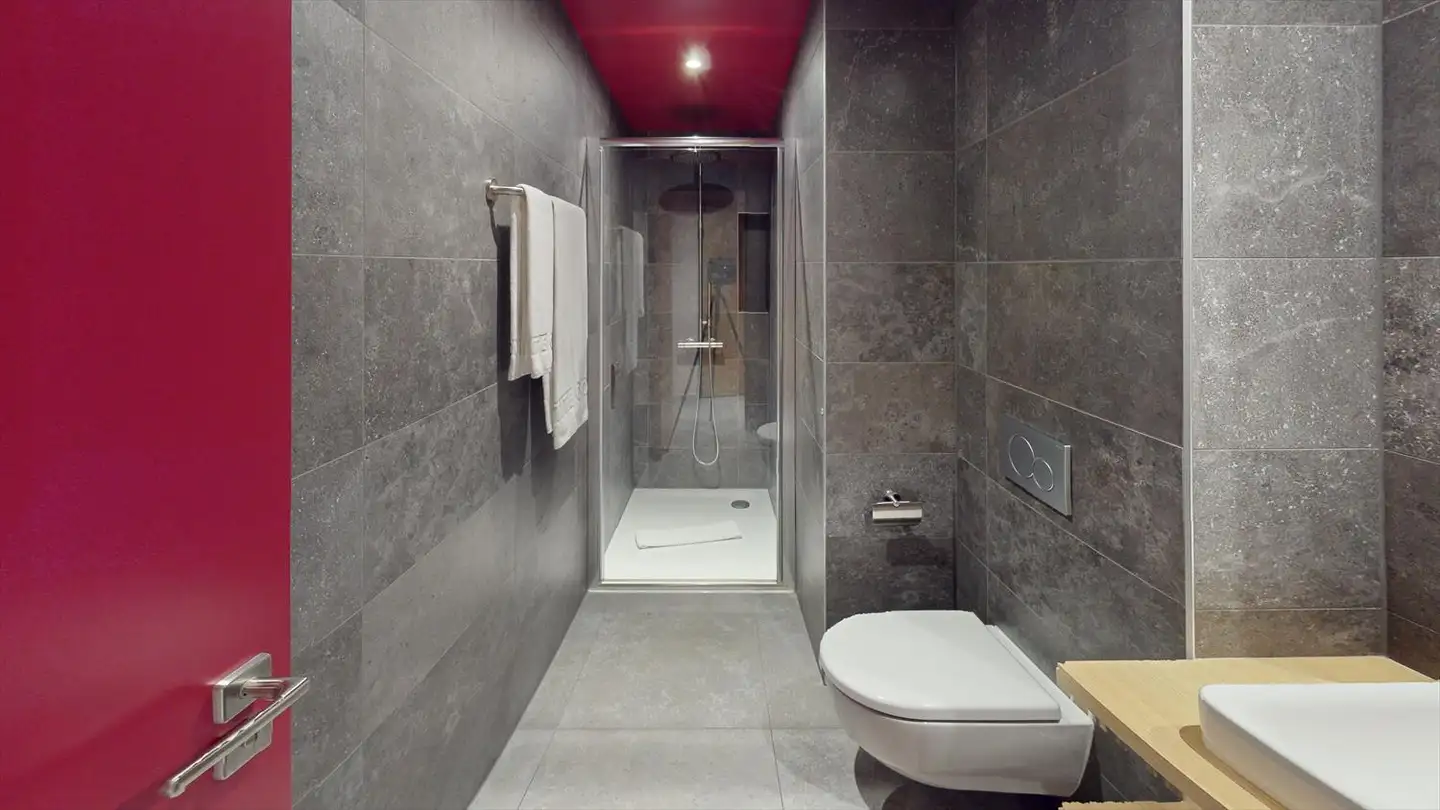 Furnished apartment for rent - Rue De Lausanne, 1202 Genève - Photo 3