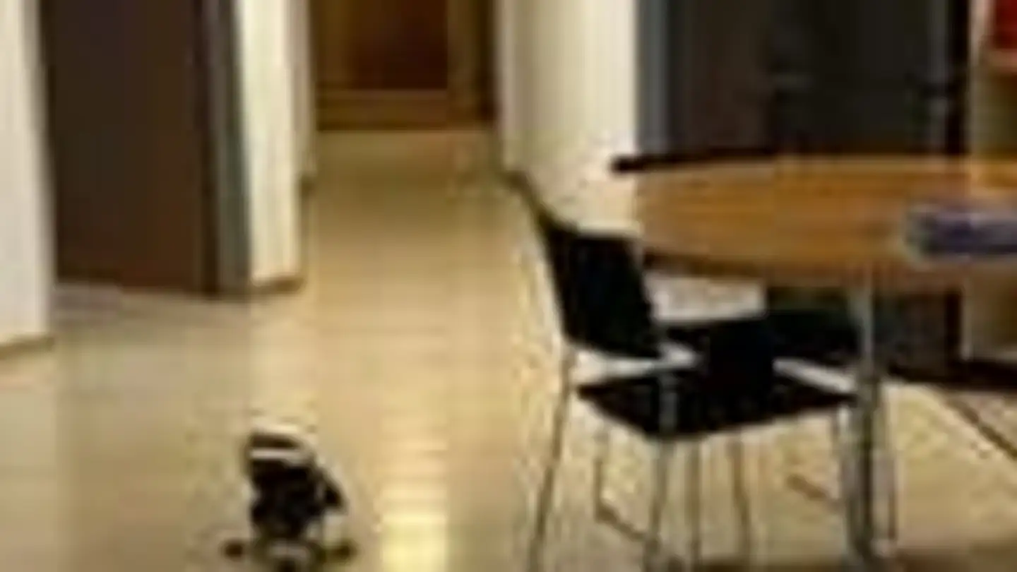 Appartement en terrasse à louer - Keltenweg 3, 8264 Eschenz - Photo 2