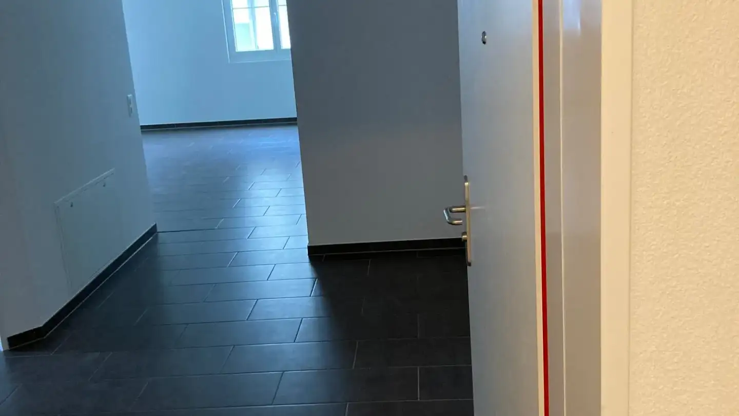 Duplex à louer - Bächelweg 3, 8156 Oberhasli - Photo 2