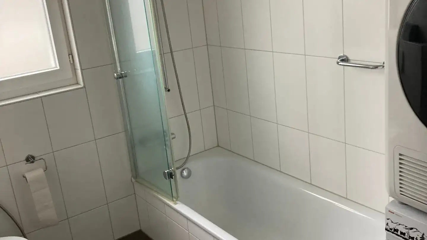 Duplex à louer - Bächelweg 3, 8156 Oberhasli - Photo 4