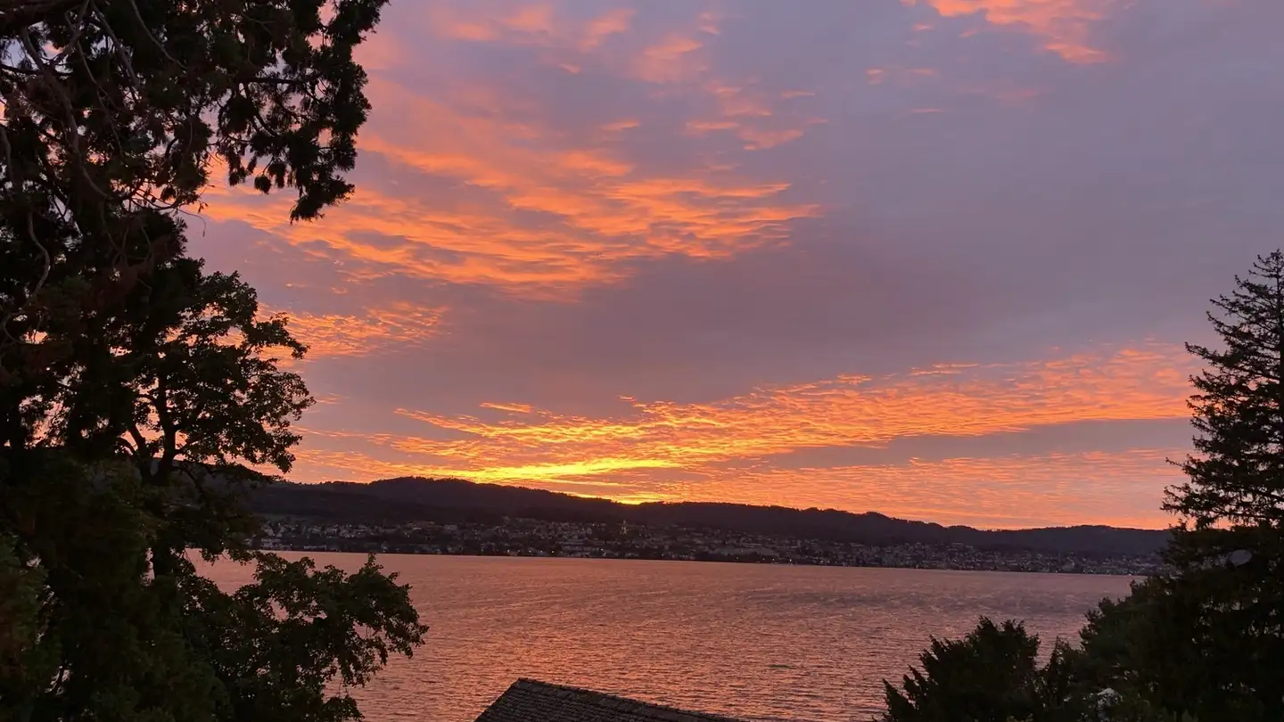 Chambre à louer - Seestrasse 173, 8704 Herrliberg - Photo 4