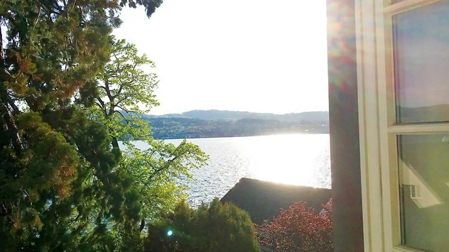 Chambre à louer - Seestrasse 173, 8704 Herrliberg - Photo 3