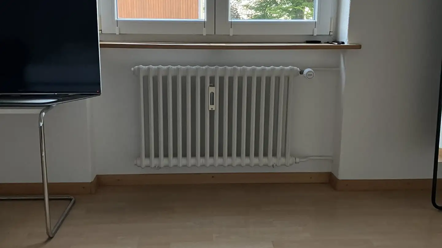 Appartement à louer - 8806 Bäch SZ