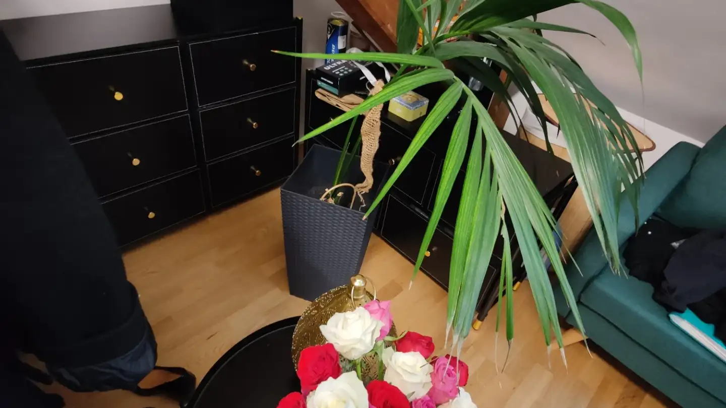 Single room for rent - 4054 Basel - Photo 2