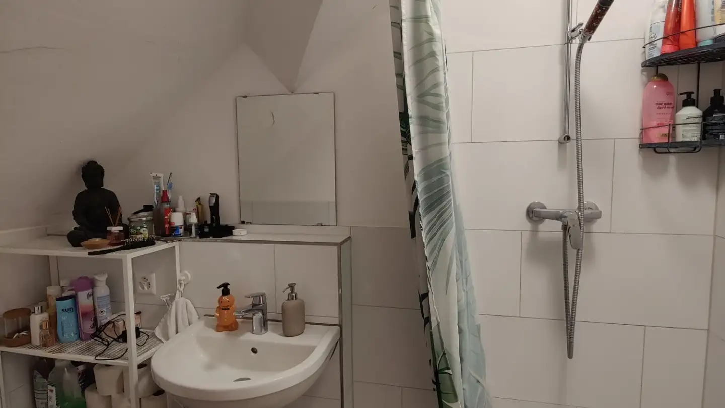 Single room for rent - 4054 Basel - Photo 3