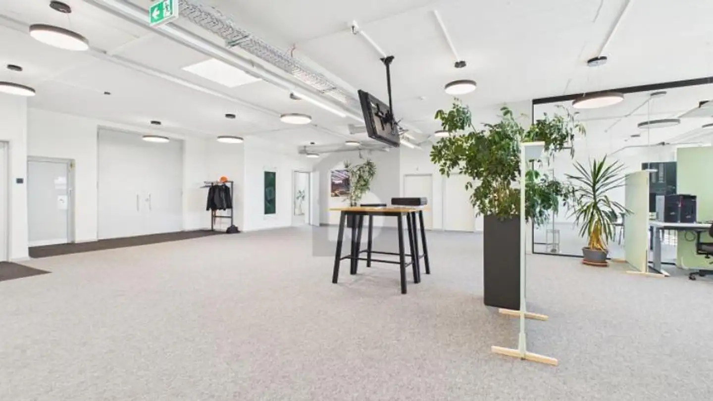 Office space for rent - 4600 Olten - Photo 2