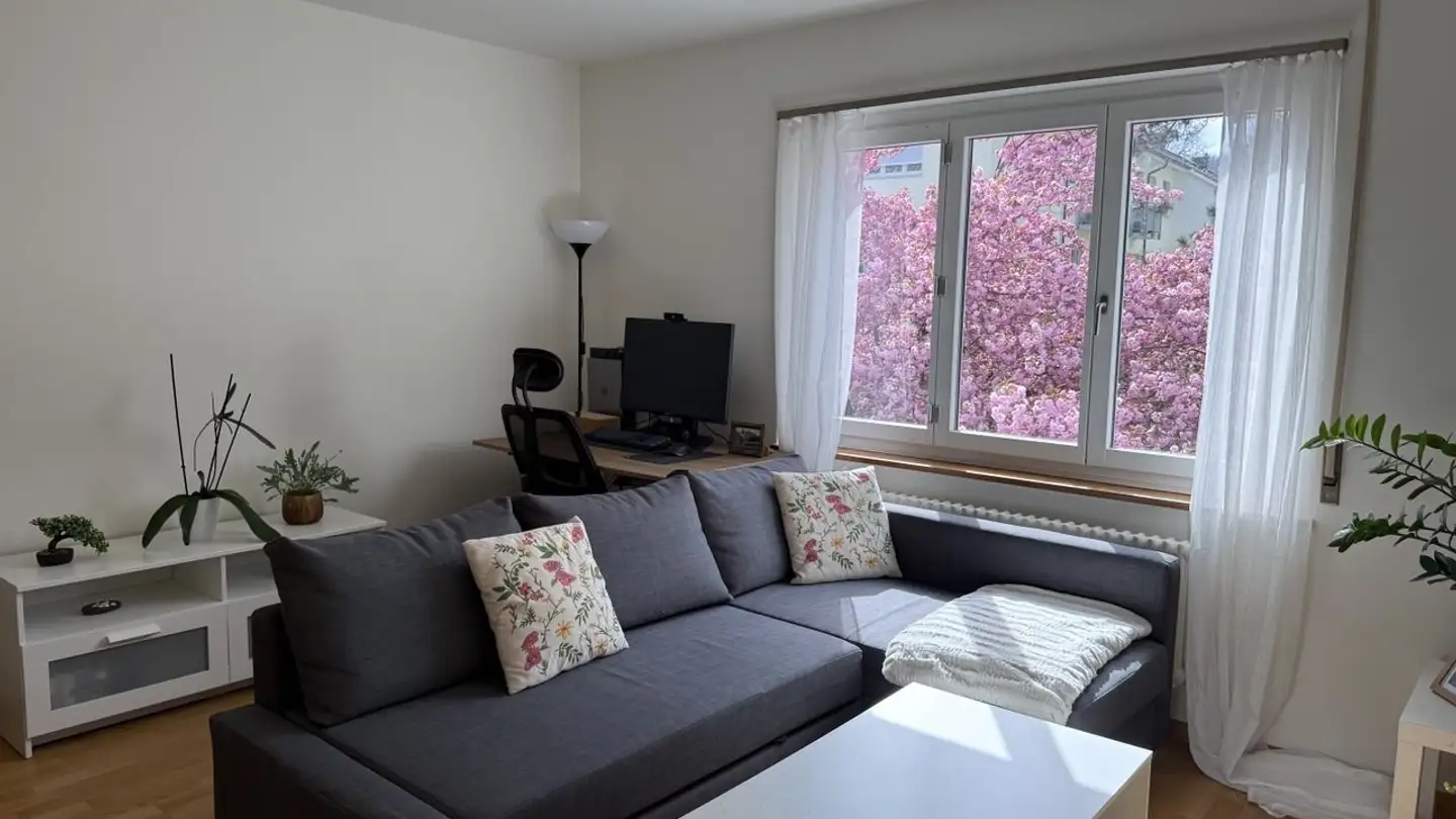 Wohnung mieten - David-Hess-Weg 17, 8038 Zürich