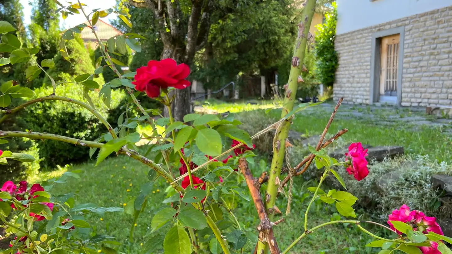 Appartamento in vendita - Rue David-Pierre-Bourquin 38, 2300 La Chaux-de-Fonds