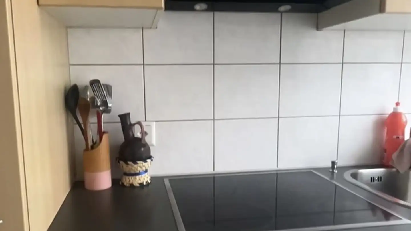 Apartment for rent - Friedrichstrasse 26, 8051 Zürich