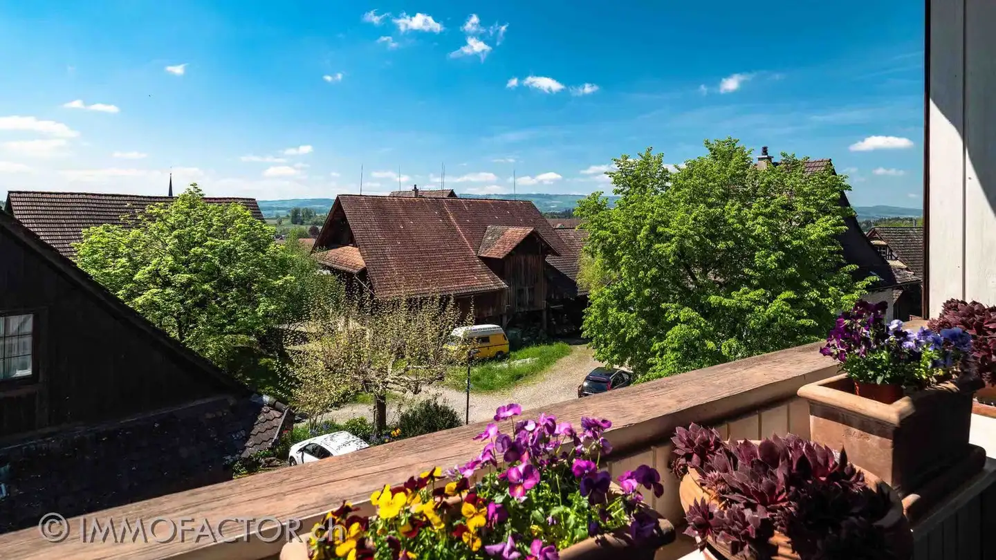 Duplex à vendre - 8932 Mettmenstetten - Photo 2