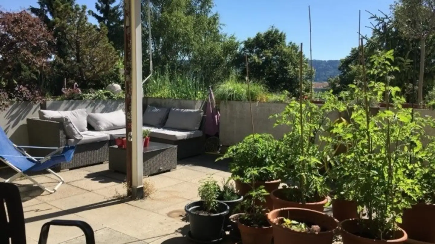 Stanza singola in affitto - Meierwiesenstrasse, 8107 Buchs ZH - Photo 3