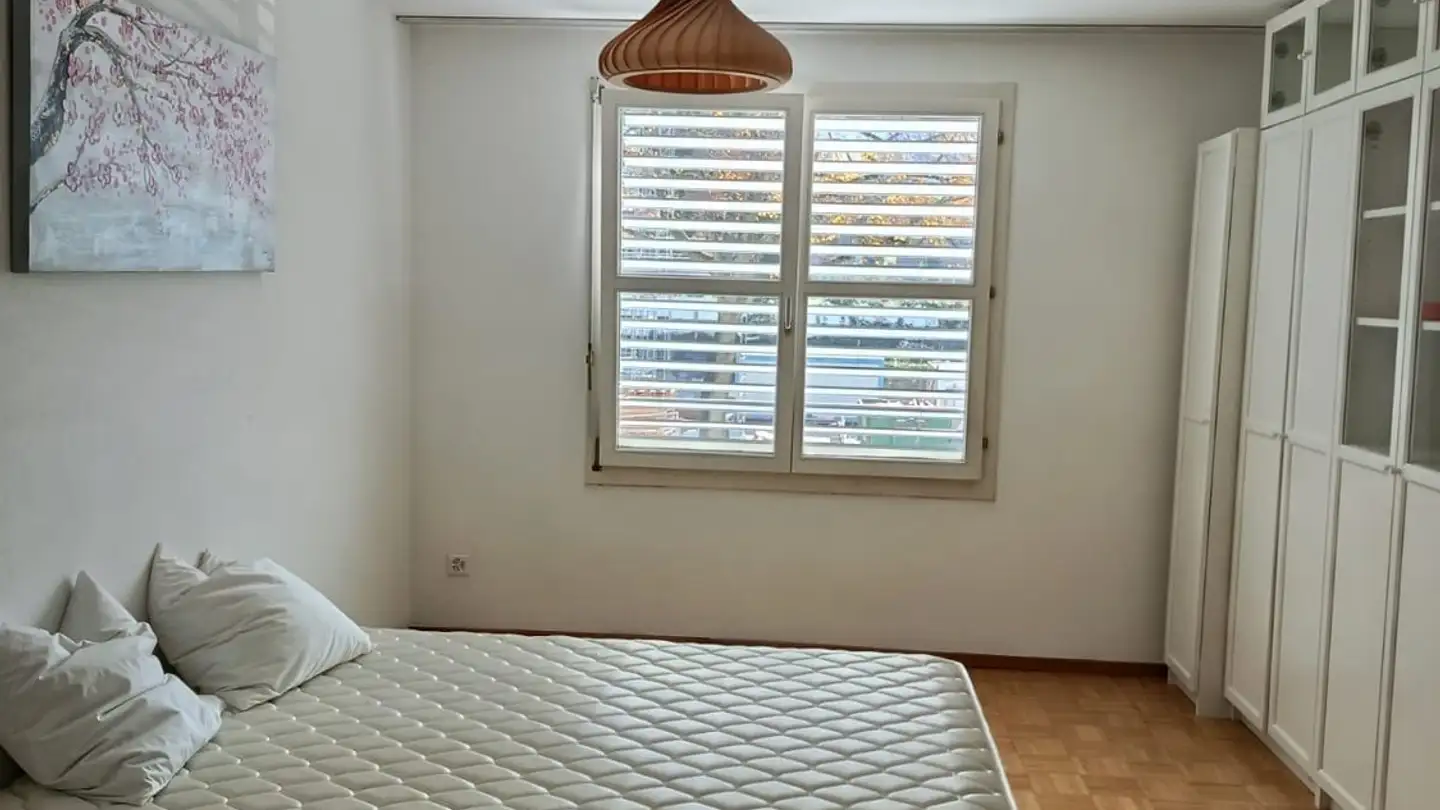 Chambre à louer - Langgrütstrasse 88b, 8047 Zürich - Photo 2