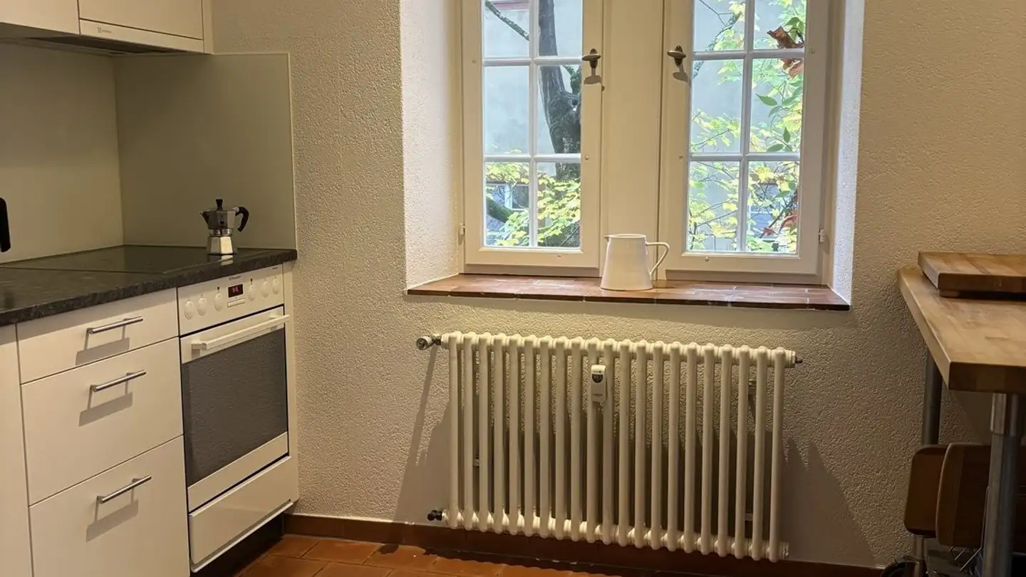 Furnished apartment for rent - 4051 Basel - Photo 3