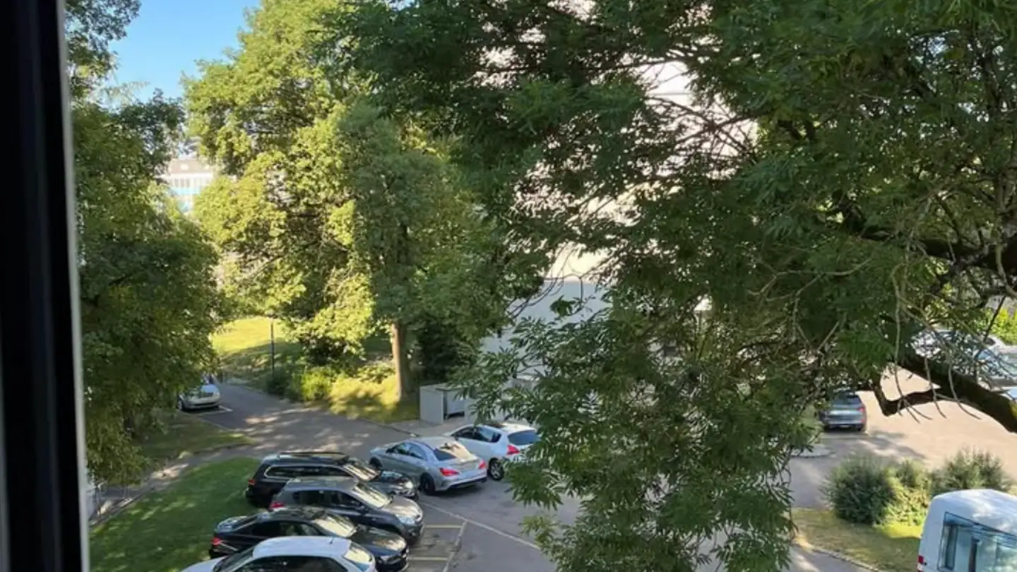 Appartamento in affitto - 5600 Lenzburg - Photo 3