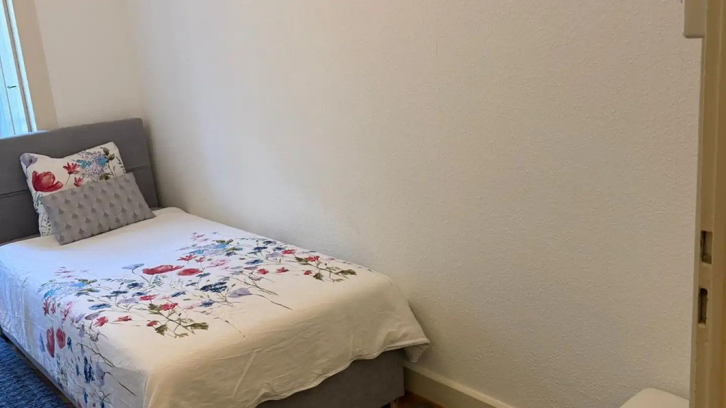 Stanza singola in affitto - Quai Ernest- Ansermet, 1205 Genève - Foto 4