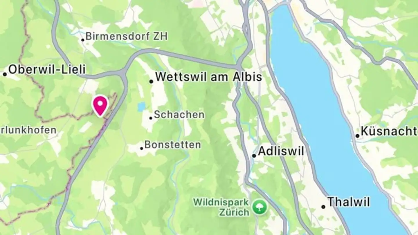 Villa for sale - Kanzelstrasse 140, 8905 Islisberg - Photo 3