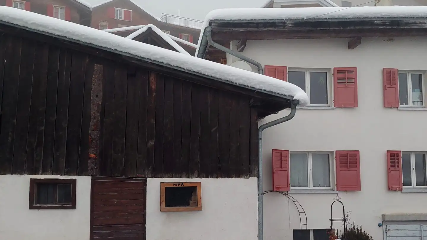 Maison individuelle à vendre - 7180 Disentis/Mustér - Photo 3