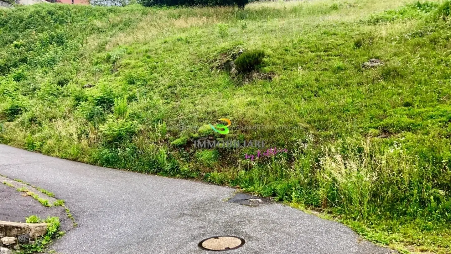 Terreno edificabile in vendita - 6515 Gudo - Photo 4