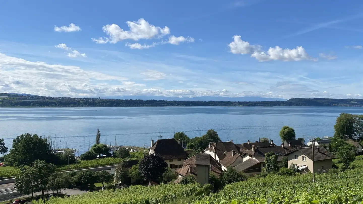 Maison individuelle à vendre - Lacheweg, 2513 Twann