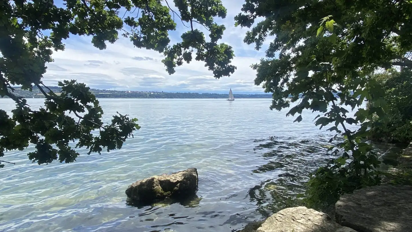 Maison individuelle à vendre - Lacheweg, 2513 Twann - Photo 2