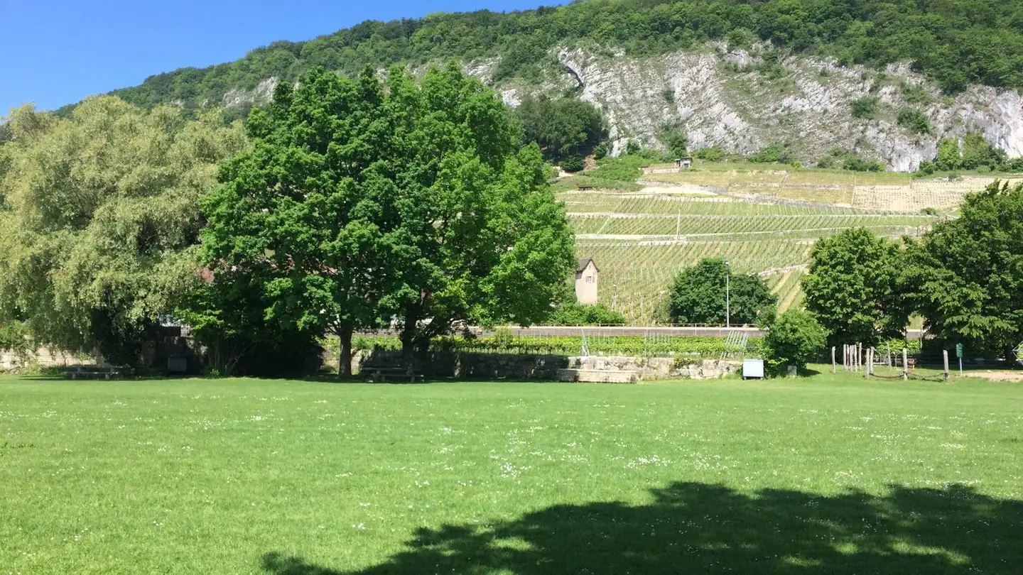 Maison individuelle à vendre - Lacheweg, 2513 Twann - Photo 3