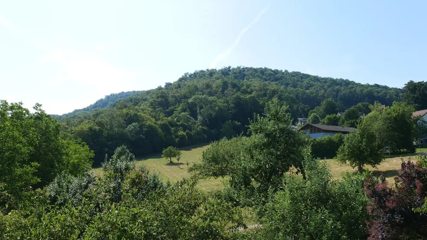 Wohnung kaufen - Hollenweg 3, 4144 Arlesheim - Foto 3