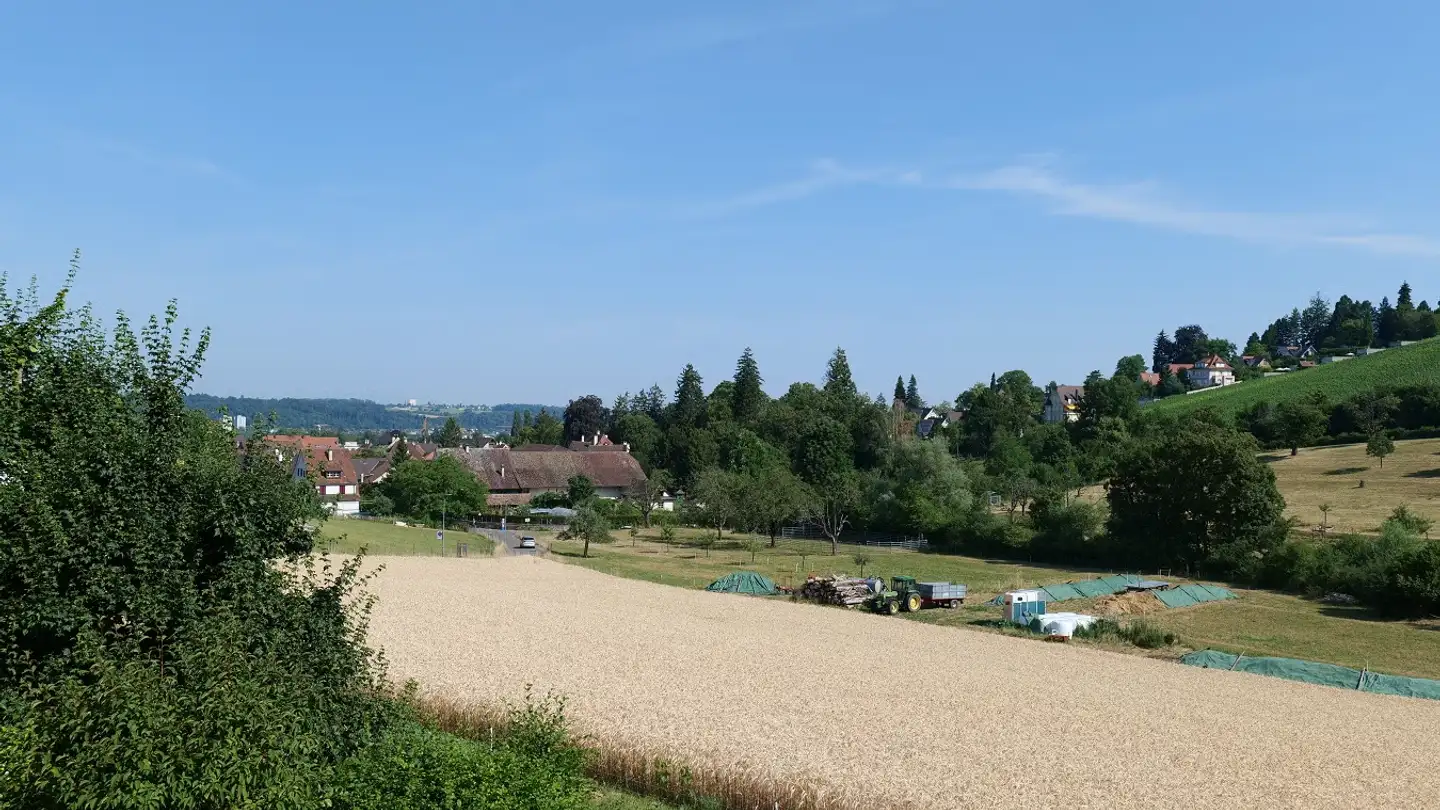 Wohnung kaufen - Hollenweg 3, 4144 Arlesheim - Foto 4