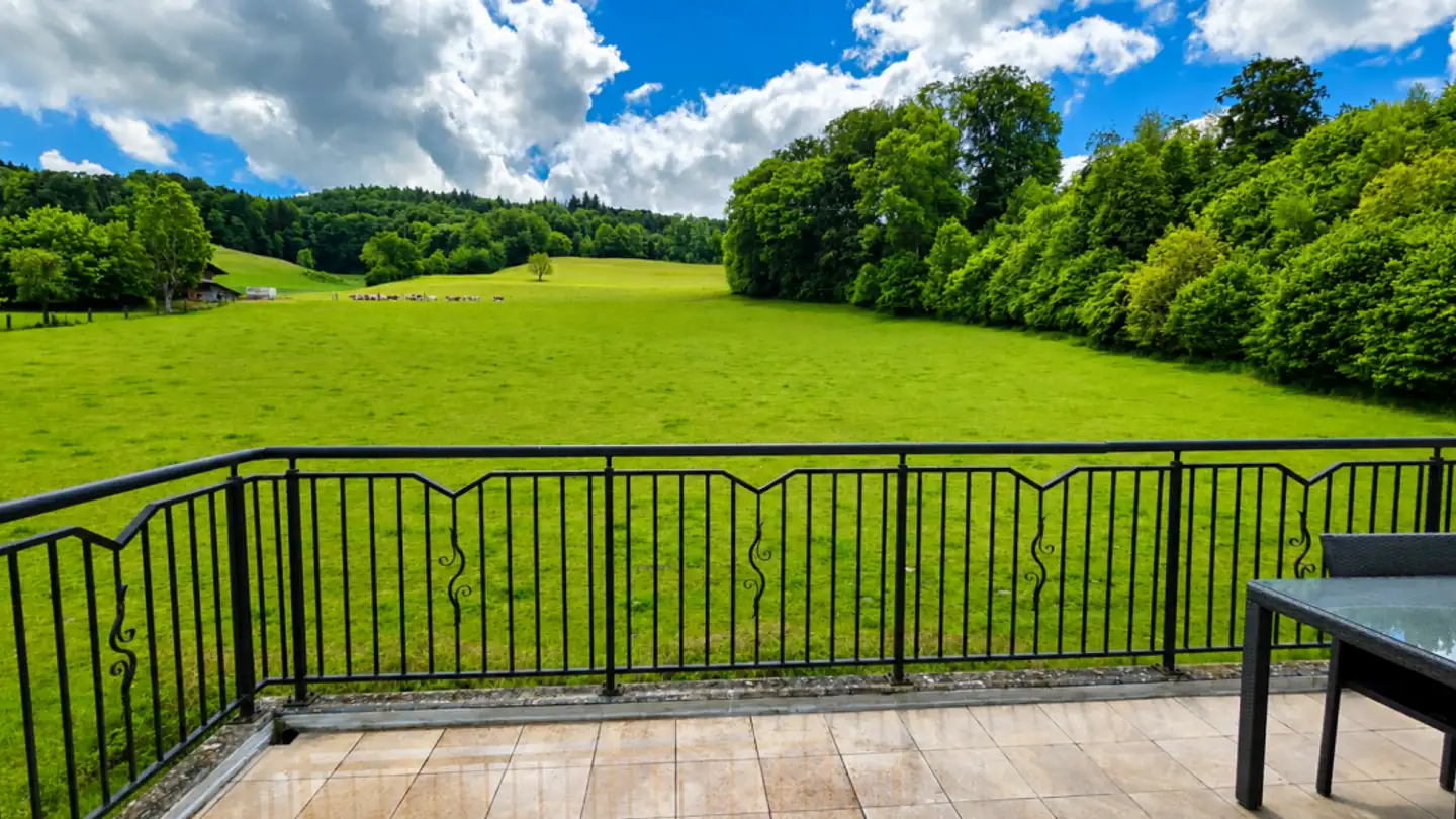Maison jumelle à vendre - 5745 Safenwil