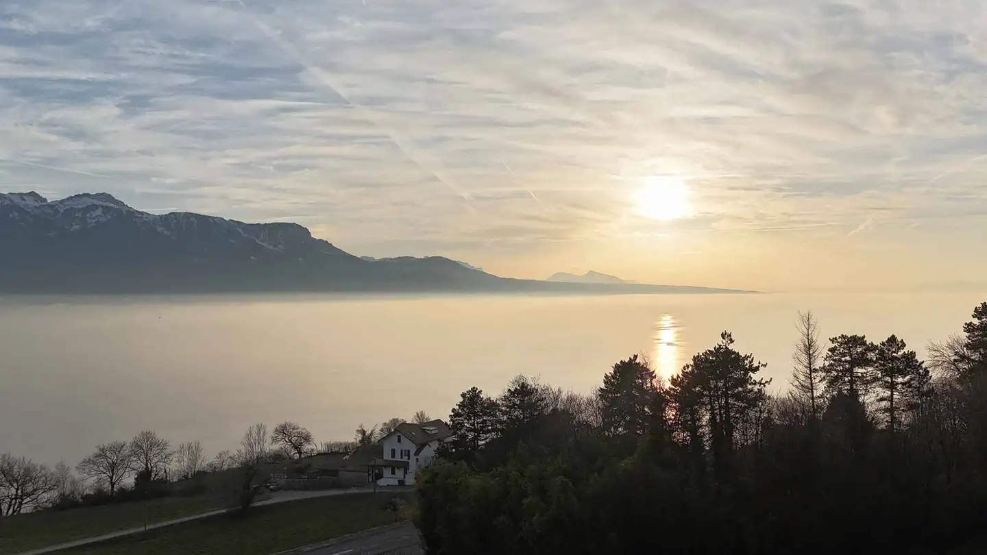 Appartement à vendre - 1071 Chexbres - Photo 3