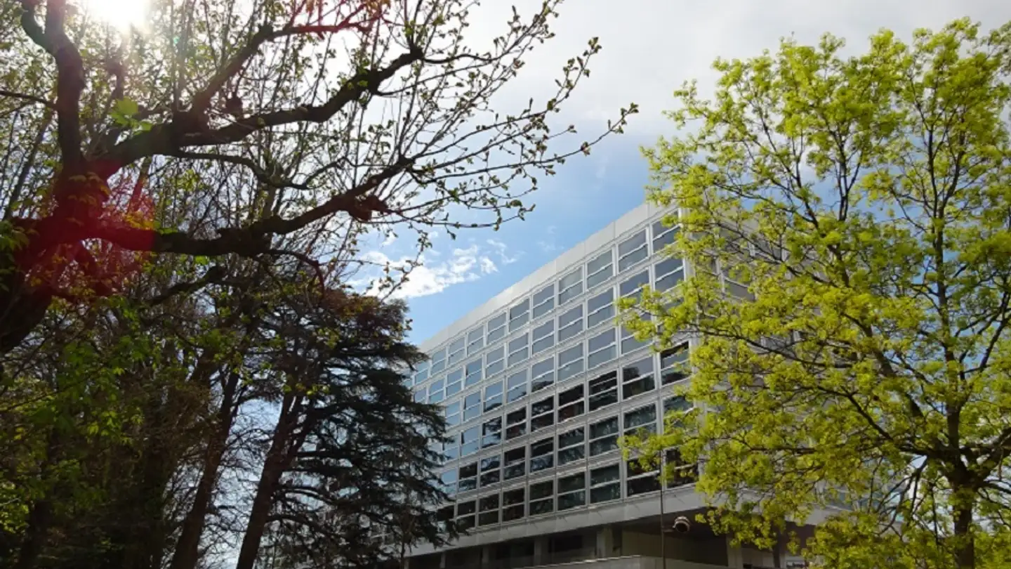 Apartment for rent - Avenue Du Bouchet 8, 1209 Genève