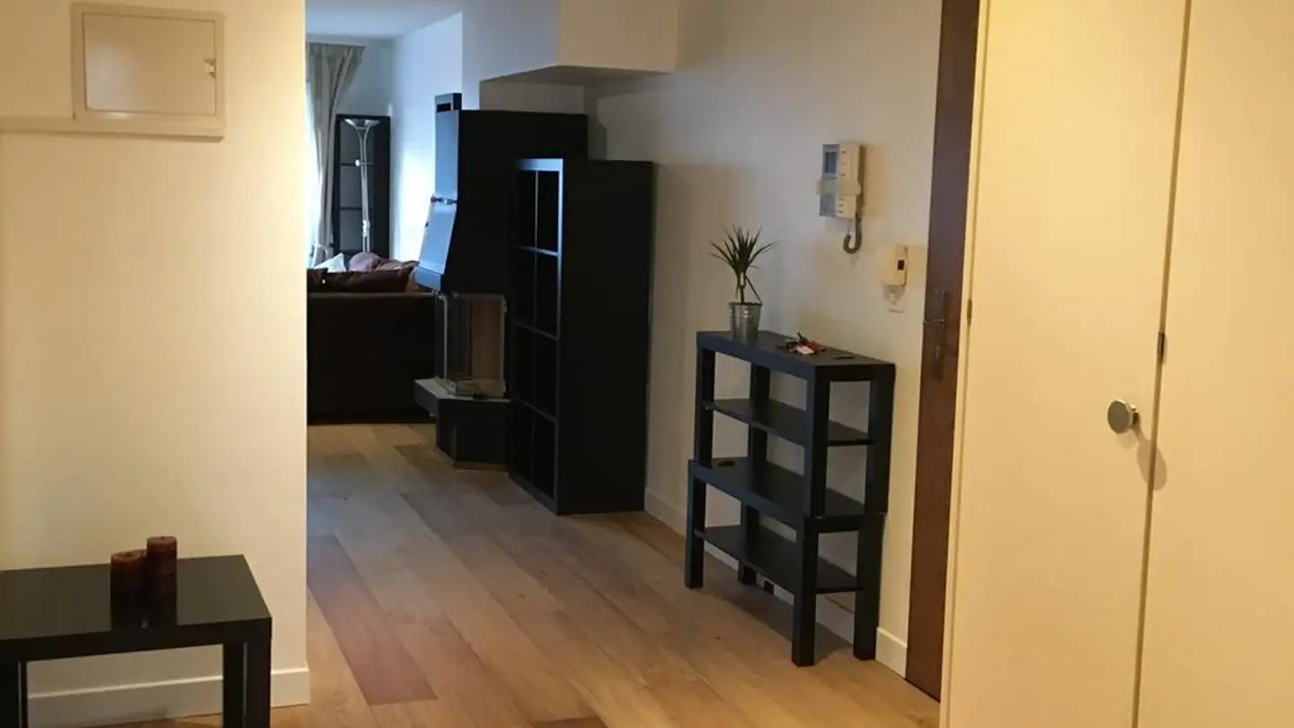 Appartamento in affitto - Rue De Lausanne 56, 1202 Genève - Foto 2