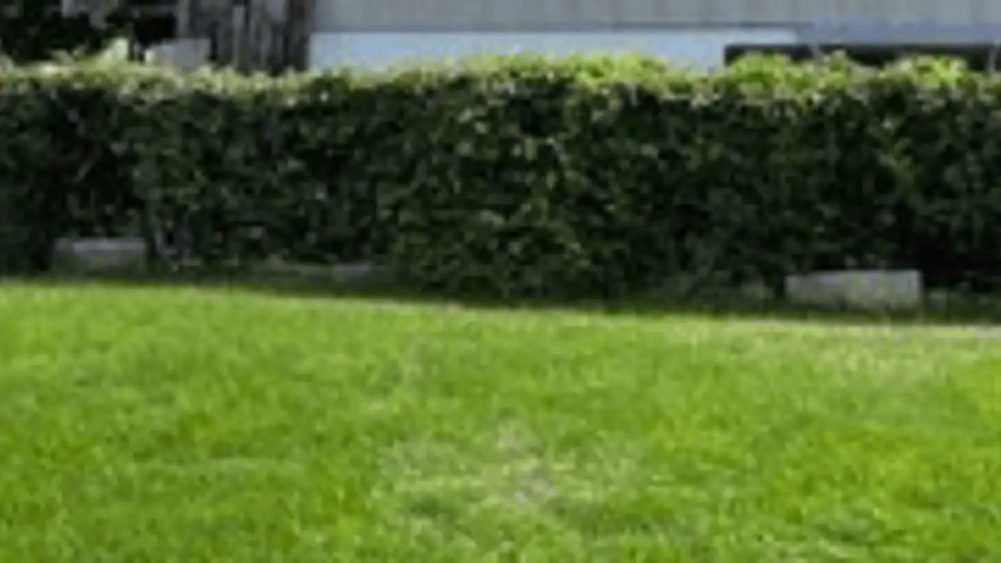 Maison jumelle à vendre - Schulgasse 16, 4105 Biel-Benken BL - Photo 2