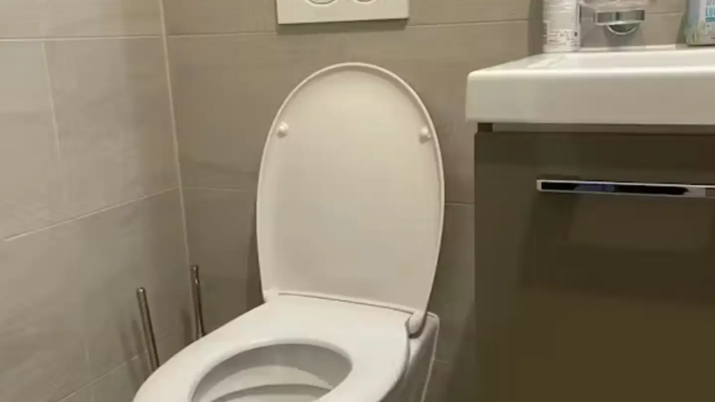 Single house for rent - Route De Colovrex, 1218 Le Grand-Saconnex - Photo 4