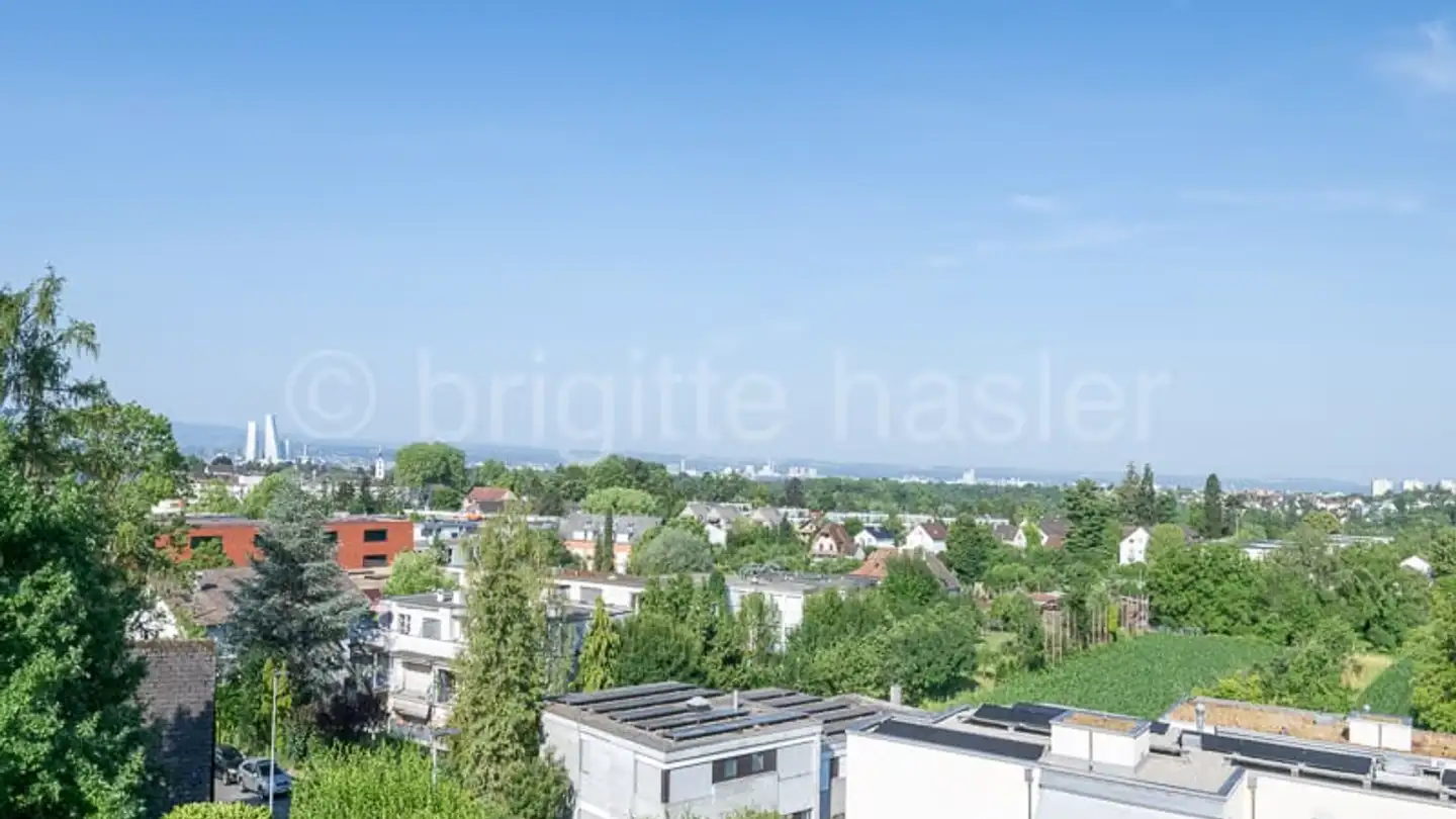 Villa kaufen - Bischoffweg 24, 4125 Riehen - Foto 4