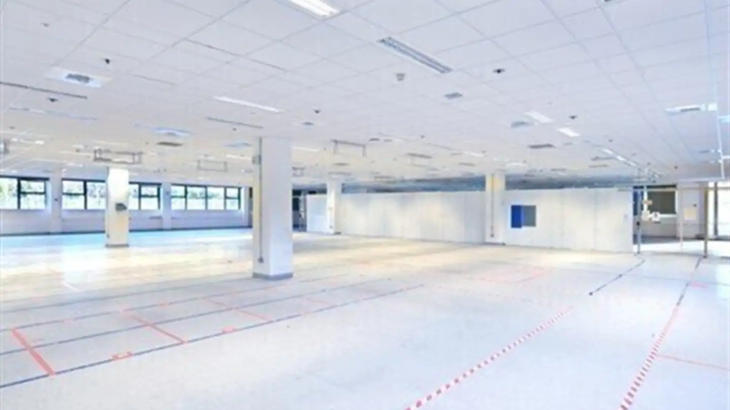 Office space for rent - 6934 Bioggio