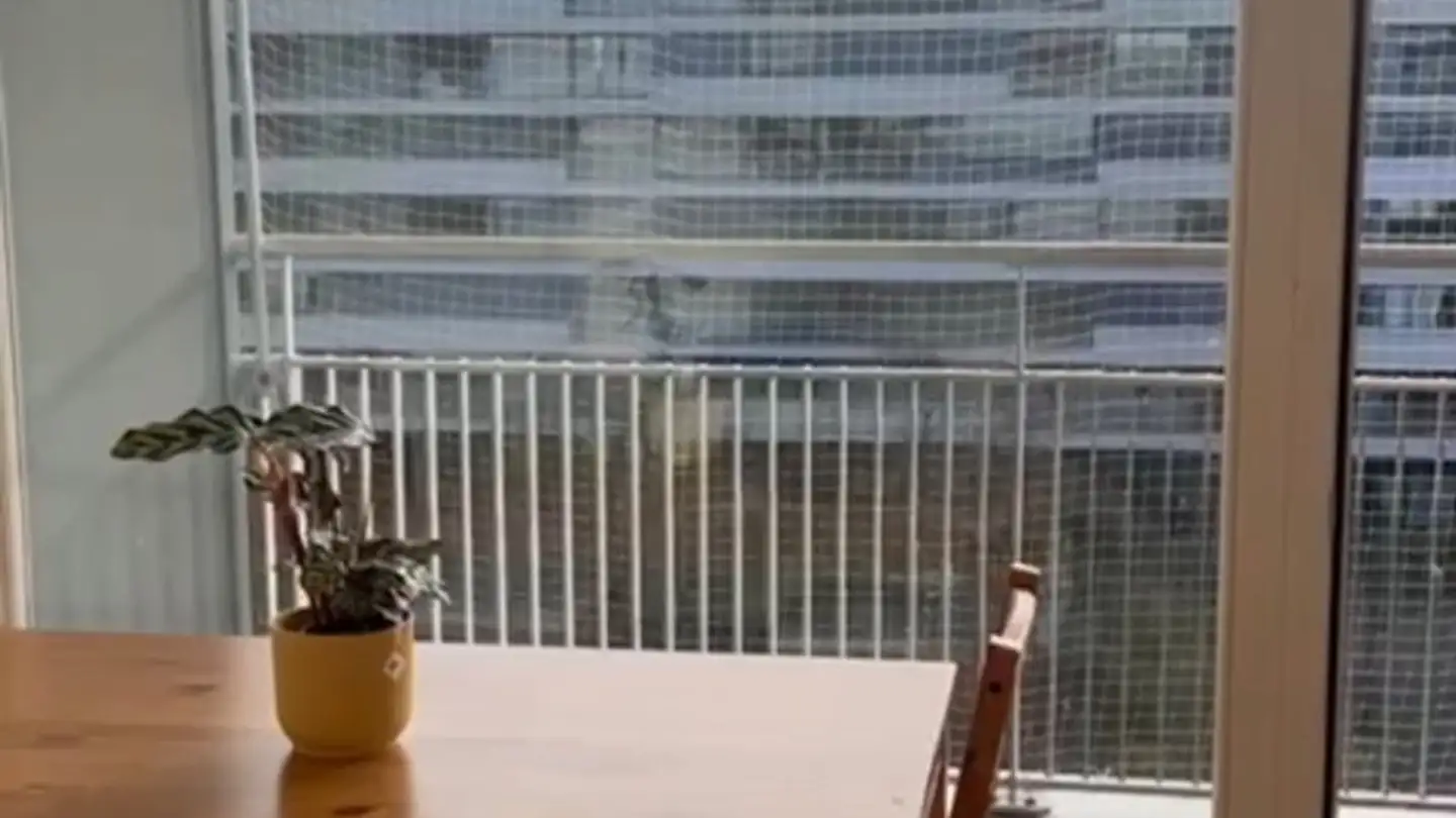 Single room for rent - 8046 Zürich - Photo 3