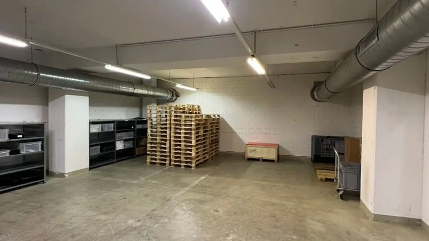 Espace de stockage à louer - Räffelstrasse 29, 8045 Zürich